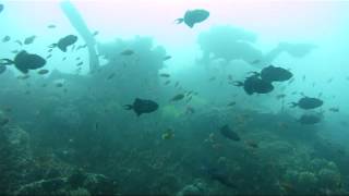 preview picture of video 'Underwater Current at Mainit Anilao'