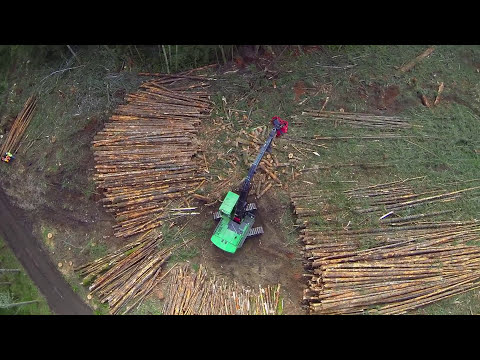 Waratah - Customer Success Story