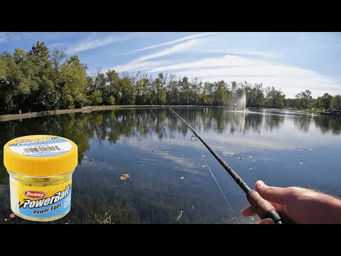 BEST Rig/Setup for Stocked TROUT in Ponds/Lakes + TIPS