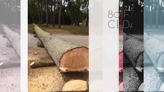 Album cover: 1st Call Trees Services