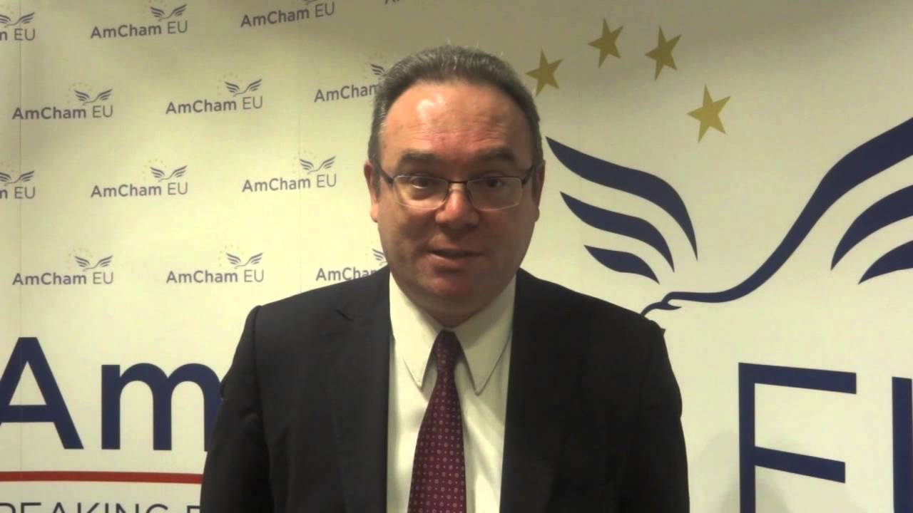 AmCham EU Transport, Energy and Climate Committee