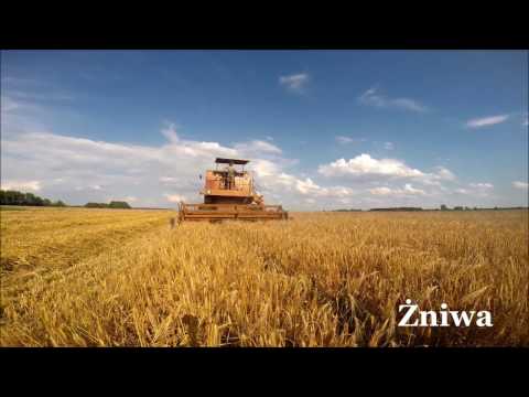 Podsumowanie Sezonu 2016!!! Wlkp