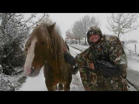 Winter Camino de Santiago