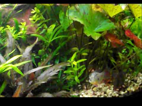 Impressionen 12 08 2018