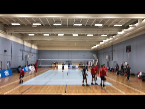 Livestream. Aalborg Volley vs. Amager VK