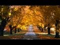 Mika - Elle Me Dit (BeatauCue Remix) HD 