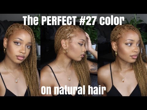 Black to Honey Blonde | How to Get the Perfect #27...