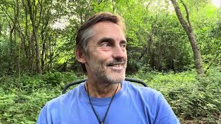 Saturday Woodland WooWoo – Reaching Critical Mass