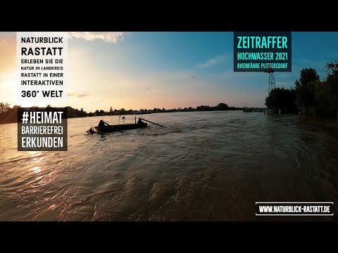 7 Tage Zeitraffer vom Hochwasser 2021 mit Blick auf die Rheinfähre Rastatt - Plittersdorf