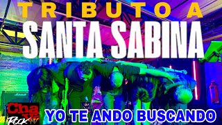 Yo te Ando Buscando brillante con Tributo a Santa Sabina