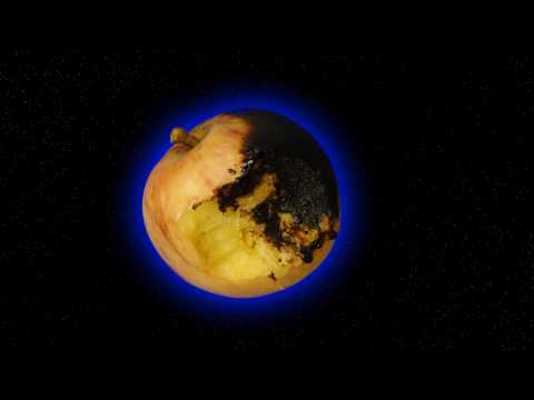 Rymdreglage – Fruits