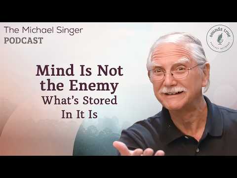 Mind Is Not the Enemy: What’s Stored In It Is | Michael Singer