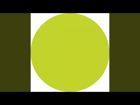 Welcome to the Octagon