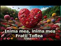 Fratii Toflea Inima Mea Inima Mea
