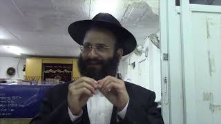 איך מחנכים את הילדים לא להתרגש ממה שאומרים עליהם (הרב אלחנן משה נחמנסון) - התמונה מוצגת ישירות מתוך אתר האינטרנט יוטיוב. זכויות היוצרים בתמונה שייכות ליוצרה. קישור קרדיט למקור התוכן נמצא בתוך דף הסרטון