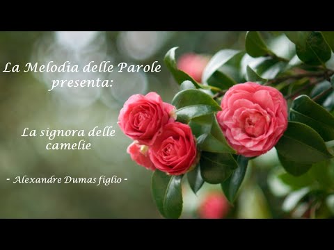 La signora delle camelie, Alexandre Dumas figlio - Audiolibro integrale