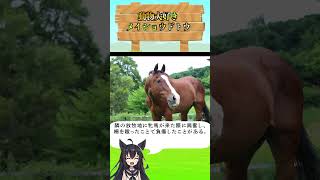 メイショウドトウ#メイショウドトウ #競馬 #名馬 #タヌキと暮らす #猫吸い馬 #オペラオーライバル #人懐っこい名馬 #ツンデレ猫好き