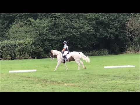 Solihull BE 90 Dressage Test 97 19-08-18