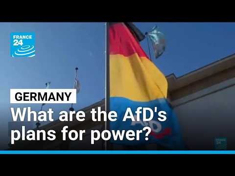 Segregated schools and citizen ‘watch groups’: the AfD’s plans for Saxony-Anhalt