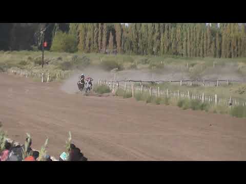 JOSECITO  "Club Hipico Cabo Alarcon" - Picun Leufu - Neuquen - 26-02-2023