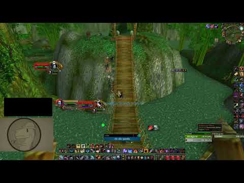 Classic TBC: Hunter solo Zul'Gurub Tiger Boss