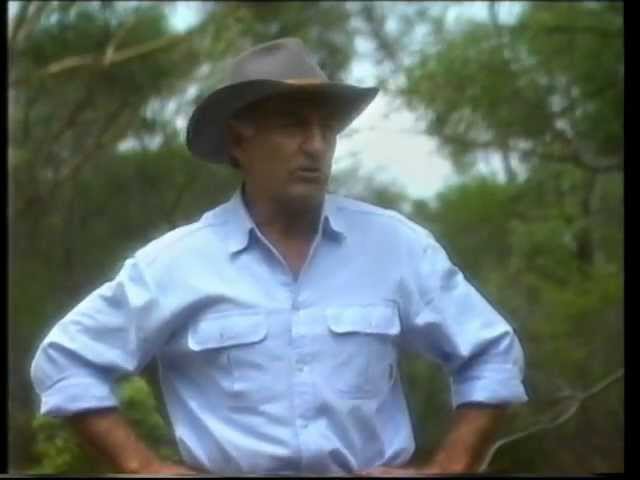 The Extraordinary E01