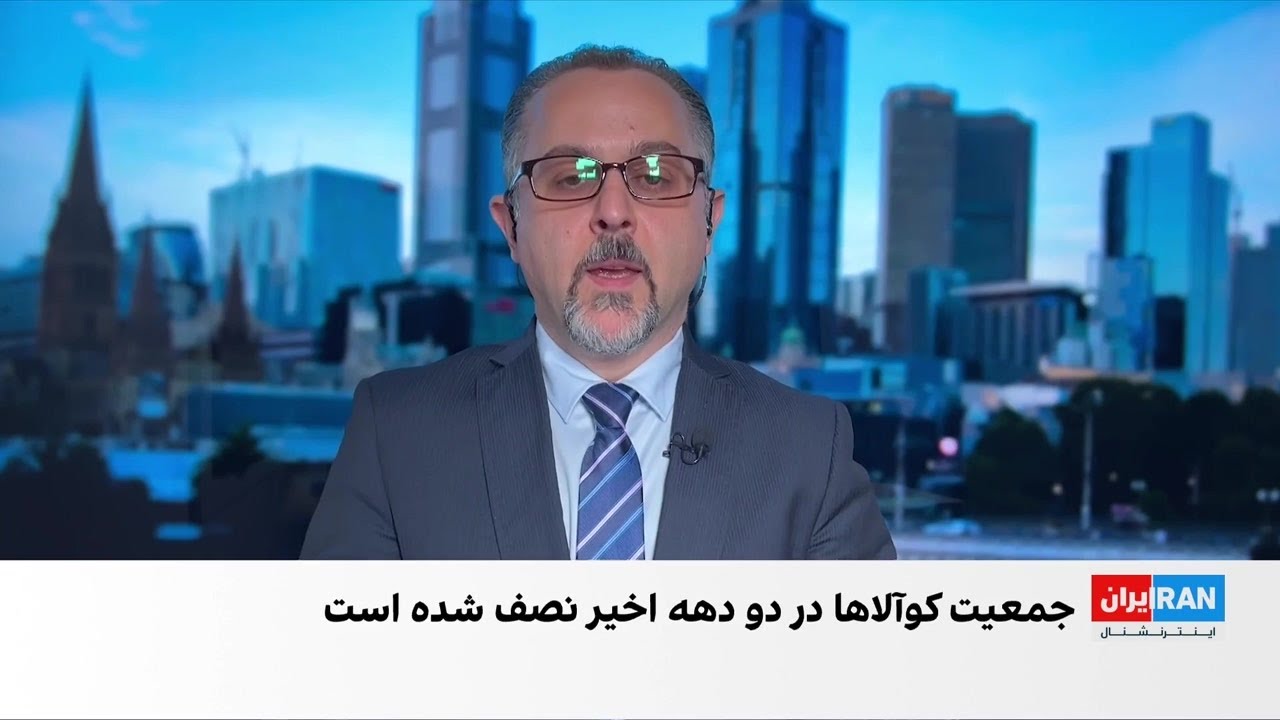 تایید نخستین واکسن برای نجات کوالاها از سوی استرالیا