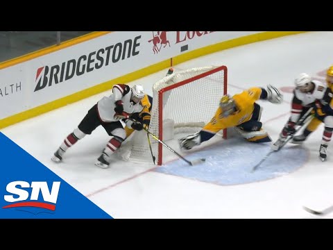 Nashville Predators vs. Arizona Coyotes Season Series Recap