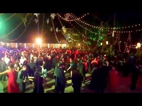 Goan Band " Lace " - Dire Straits - Walk of life  Cover - New years dance 2014