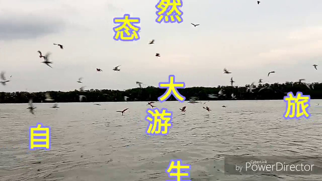 #乐思Go旅游 #瓜拉雪兰莪 #观赏老鹰萤火虫 #LetzGoTravel