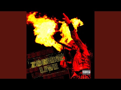 Video thumbnail for Let It All Bleed Out (Live at the DTE Energy Music Theatre, Detroit 2006)