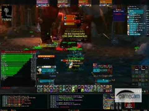 Nethergard Watch vs. Gruul the Dragonkiller