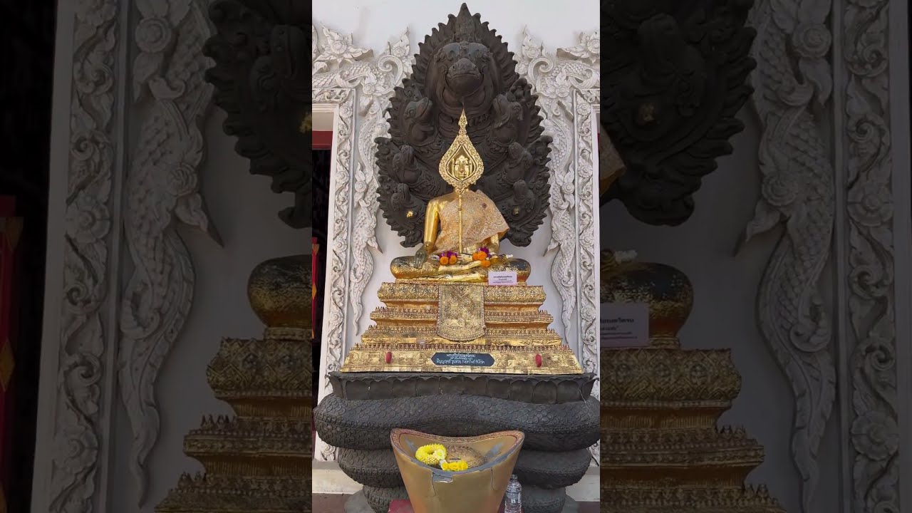 龍と蛇の寺院でご祈祷✨ #厄除け #木下レオン#開運 #スピリチュアル #遠隔参拝 #タイ