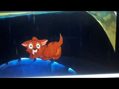 Oliver The Woodpile Cat Part 5 - Rain in the City