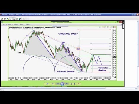 March 22nd Trade What You See with Larry Pesavento on TFNN - 2016
