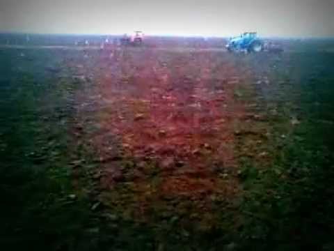 Aratura de toamna, Saceni