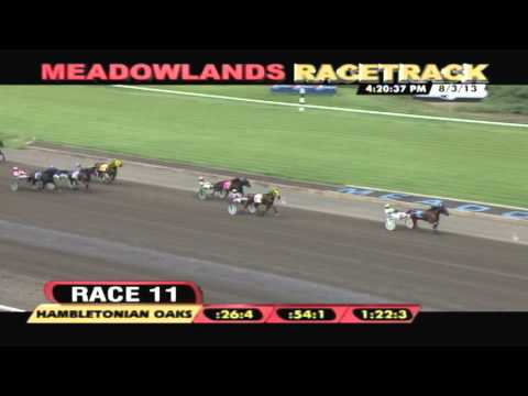 2014 Bee A Magician Feature