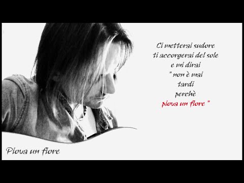 PIOVA UN FIORE - Domenico Protino ( testo letra lyrics )