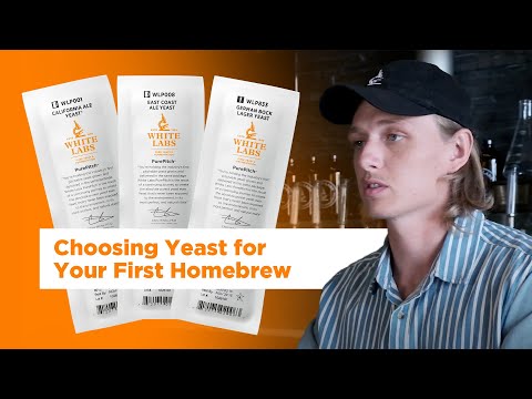 Choosing Yeast for Your First Homebrew - Tips from The Pitch