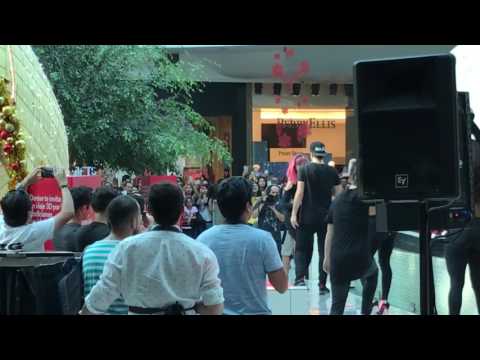 Augusto schuster  mall vespucio