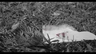 Avion roe the difference between us