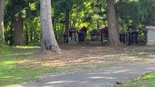 【子宝？神社】身バレしたのでその友達と神社（下ネタ注意）