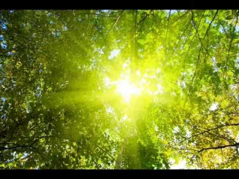 Aivars Kalējs - Basso continuo avec 22 variations (French album, op.55) LIVE