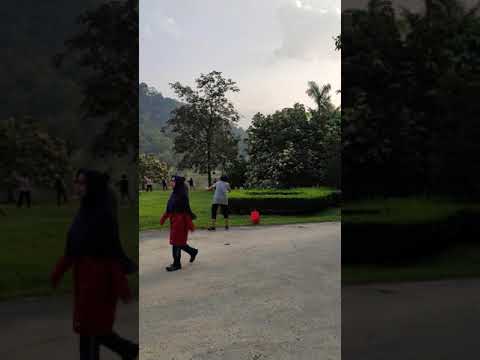 Test video for mi 9t pro. 4k uhd with no stabilization