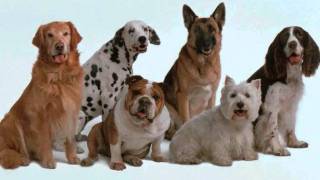 byzantium ,, inedito.