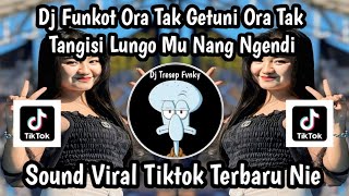 Download lagu DJ FUNKOT ORA TAK GETUNI ORA TAK TANGISI LUNGO U NANGDI- DJ LEDA LEDE SOUND VIRAL TIKTOK TERBARU NIE mp3
