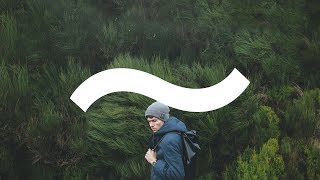 Lake Malawi ~ Bottom Of The Jungle [Official Music Video]