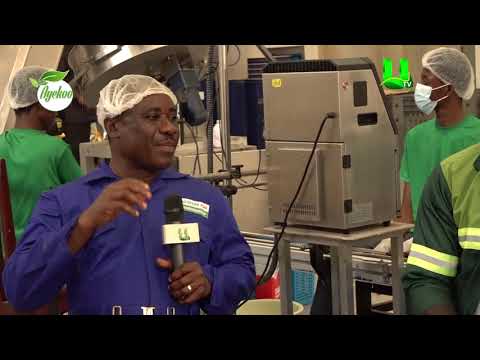 AYEKOO AYEKOO VISITS OTUMFUO’S MULTI FRUIT FACTORY   BODUKWAN