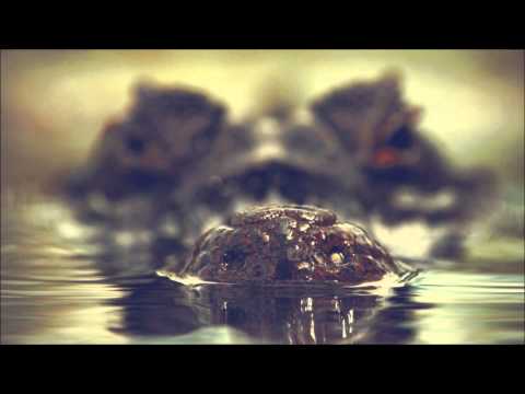 Mefjus & Bowsar - Primal Instinct (ft. Maksim)