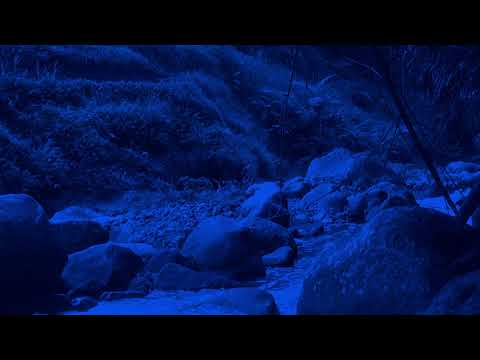 Sleep Music, Eliminates All Negative Energy,  Relaxing Music Deep Sleep, Calm Your Mind